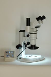 چراغ LED | سفید | کامپکت | برای میکروسکوپ ها