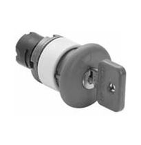 سوئیچ با دکمۀ فشاری و قفل کلیدی | قارچ | تک قطبی